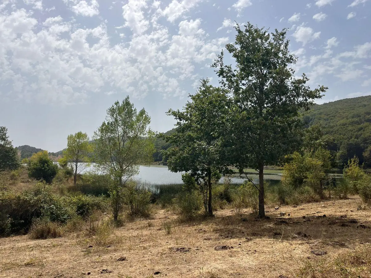 Il Biviere di Cesarò fra i canneti, visto dal pianoro erboso che circonda il lago