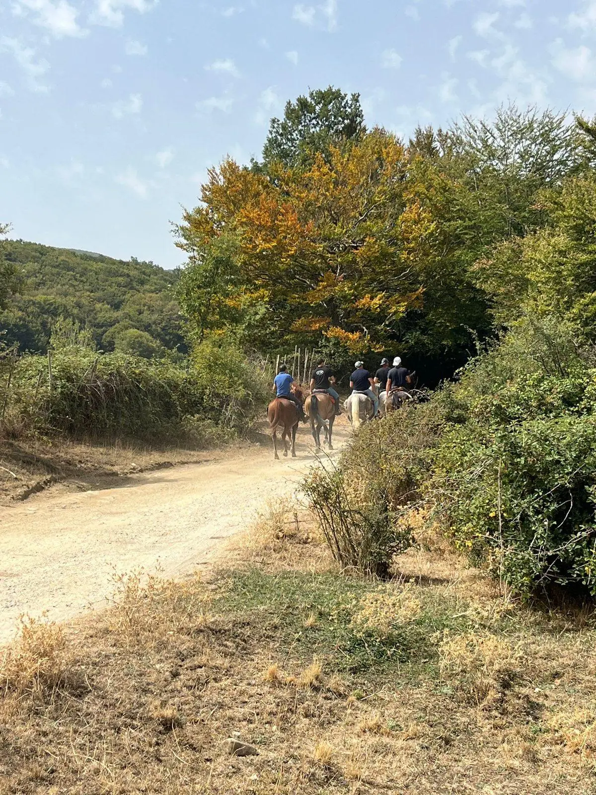Un gruppo a cavallo che risale lo sterrato sotto un faggio già ingiallito