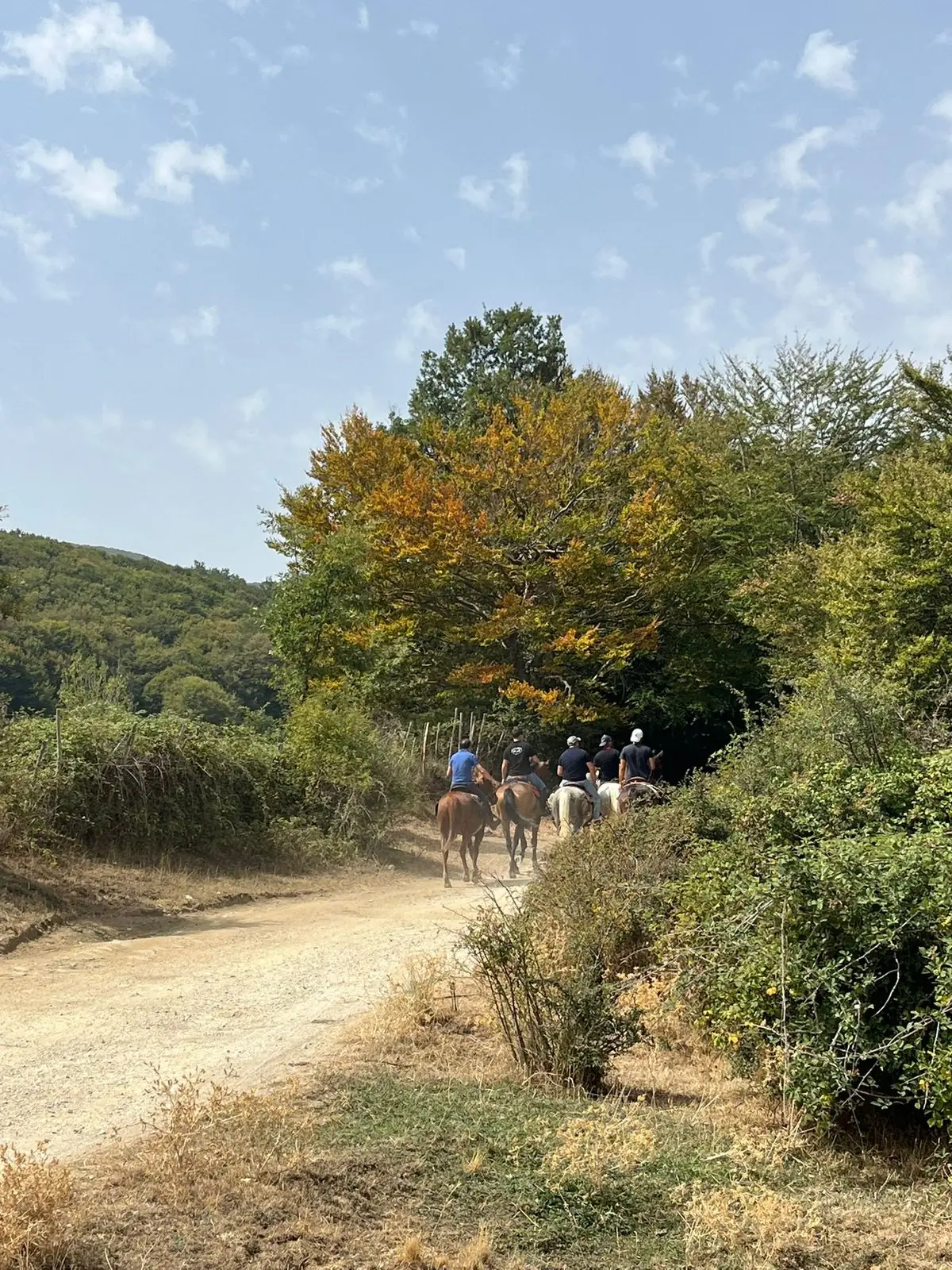 Cavalieri sulla pista sterrata fra i cespugli, con la faggeta sullo sfondo