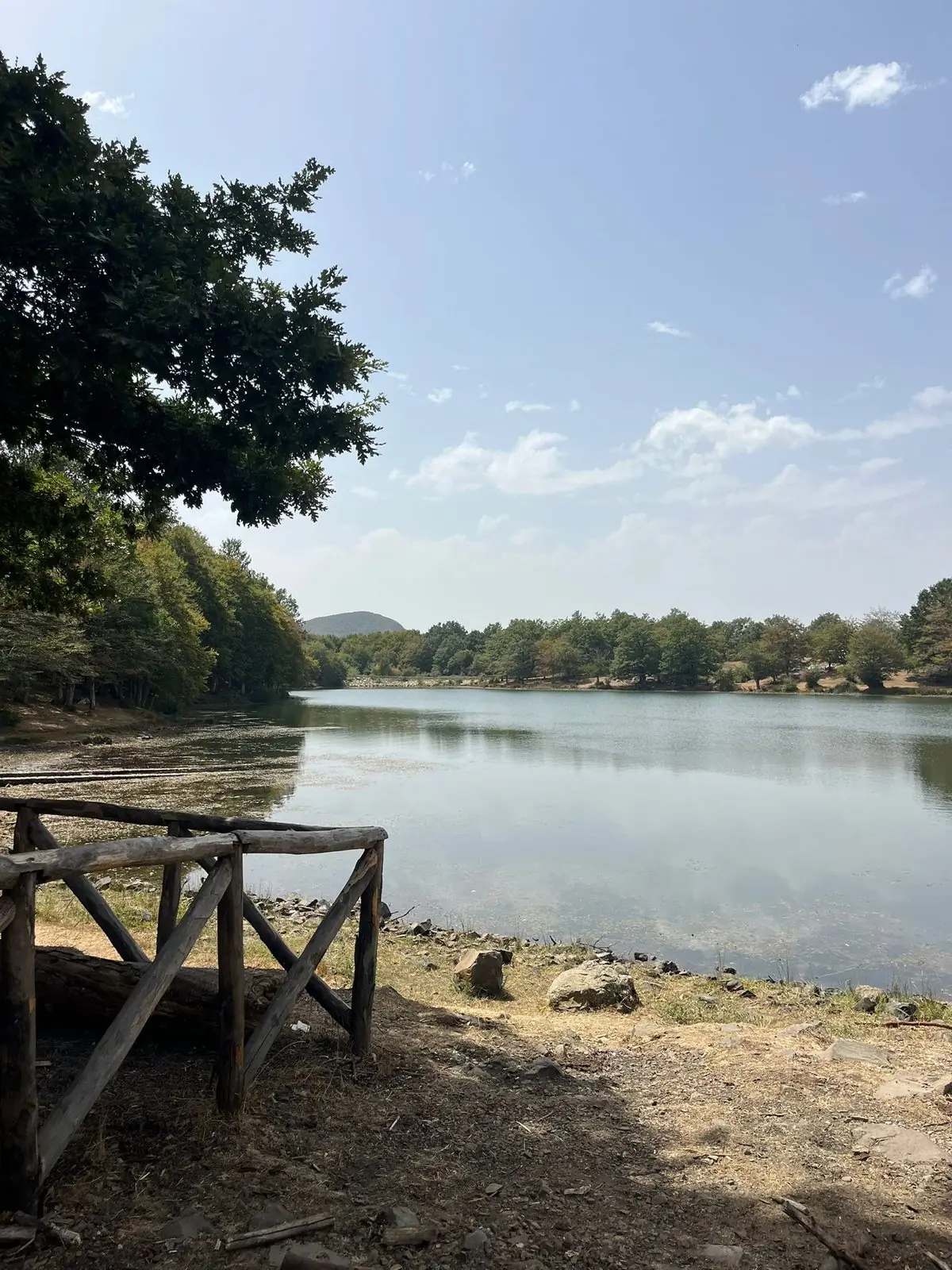 Il lago Maulazzo visto dal belvedere, con la staccionata di legno in primo piano e la faggeta che scende fino alla riva