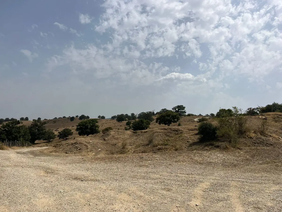 Lo slargo di ghiaia dove si lascia l'auto e la collina di querce sparse