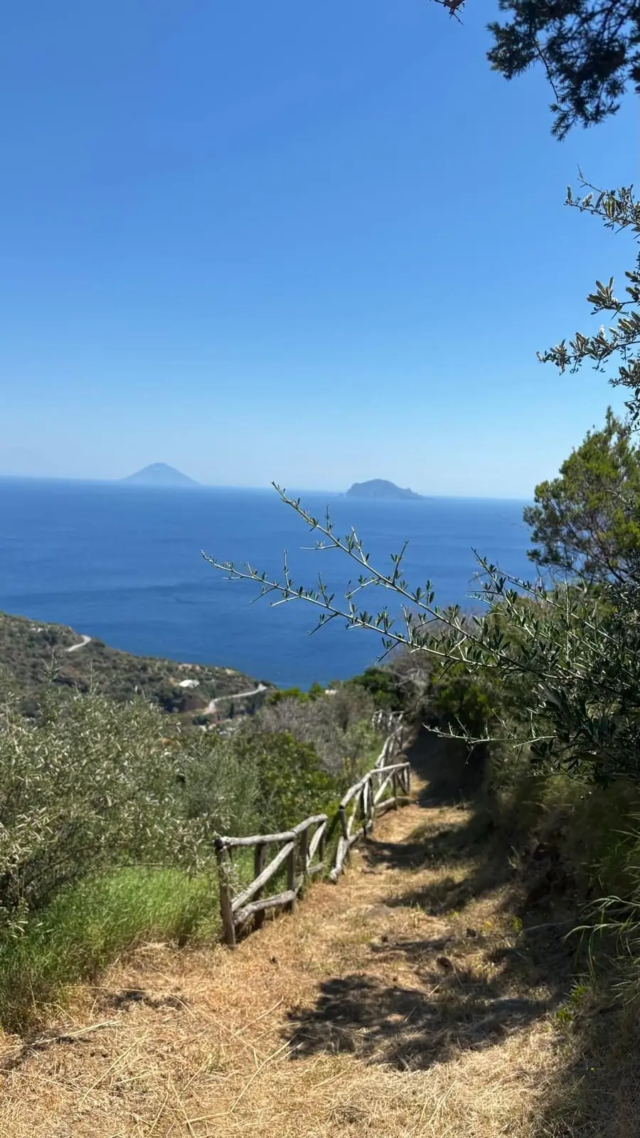 The path with its wooden rail among olive trees and, on the horizon, the cone of Stromboli on the left and Panarea on the right
