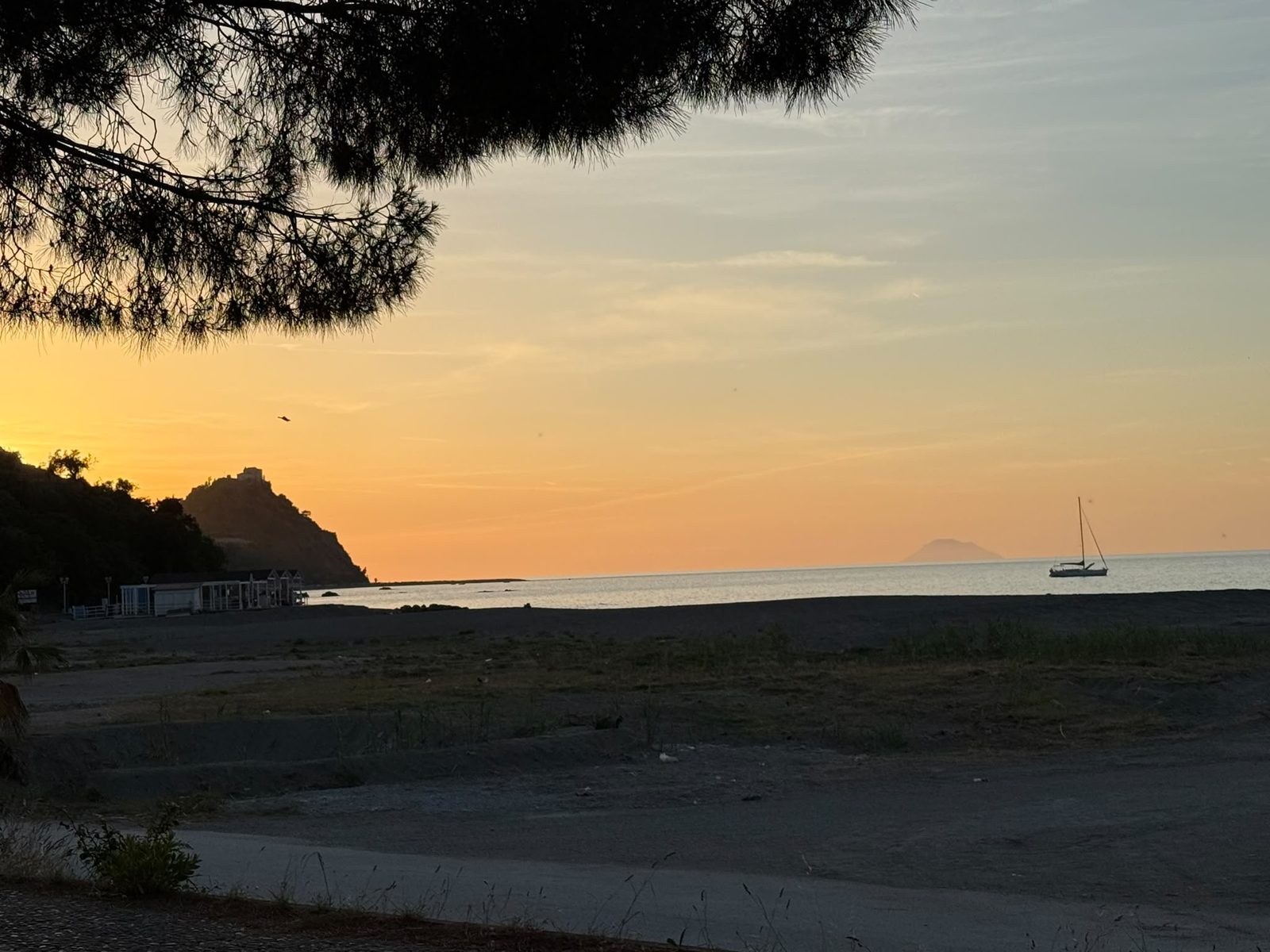 La spiaggia con i pini marittimi e una barca a vela all'ancora